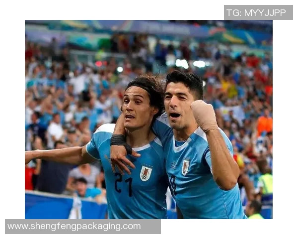 乌拉圭足球传奇球星:从苏亚雷斯到卡瓦尼的辉煌足迹